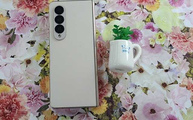 본문 3 이미지